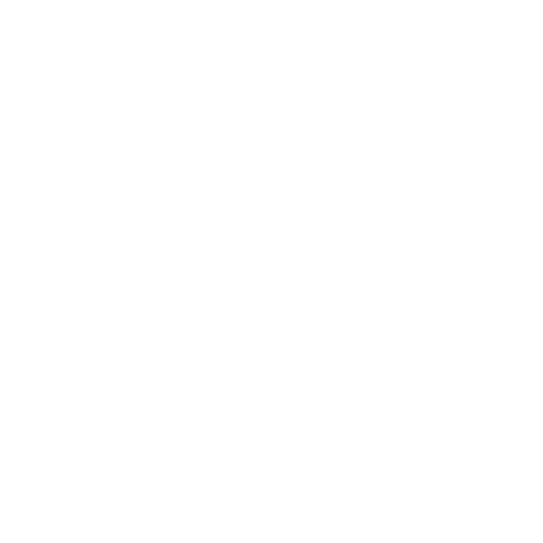 Logo BRG Waidhofen/Ybbs